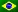 Português